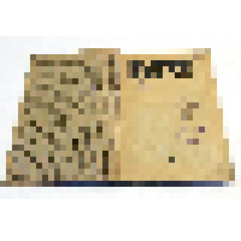 Журнал. Былое. - М. - 1921. - № 16. - 206 с