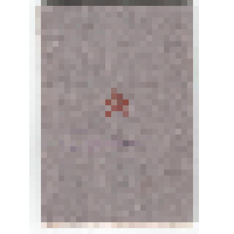 Книжка красноармейская Поддубного Трофима Николаевича, бойца 4-го ГКККК