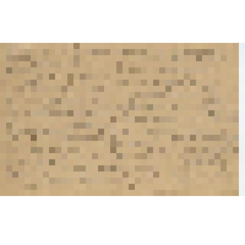 Открытое письмо. Кастальский А.Д. Открытое письмо Кастальской Н.Л