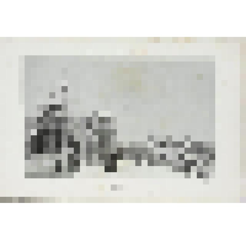 Литография. "Москва. Императорский дворец, так называемый Павловский. Кремлевская терраса."