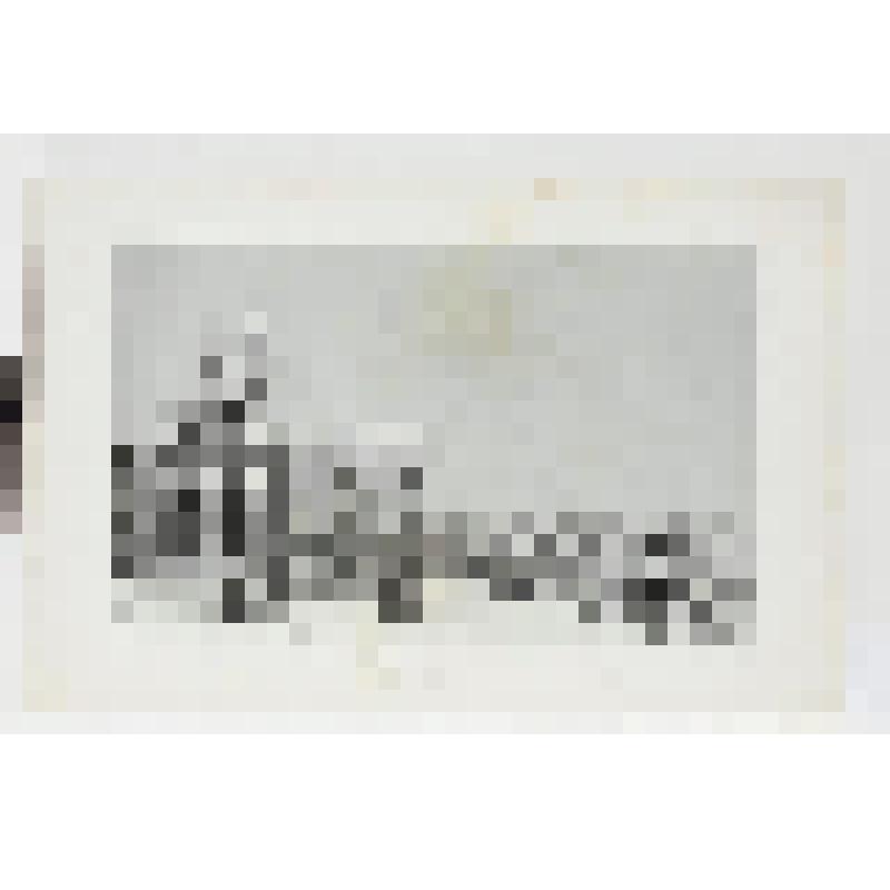 Литография. "Москва. Императорский дворец, так называемый Павловский. Кремлевская терраса."