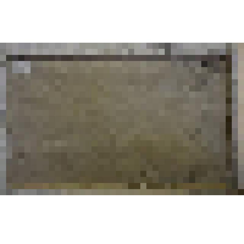 «Последний завет». Картина