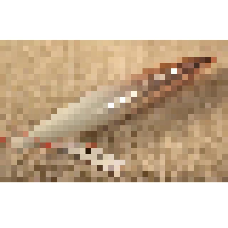 Игрушка елочная «Сосулька», из коллекции елочных игрушек и украшений