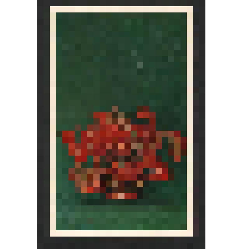 Поздравление выпускников(?) 1978 года Богомоловой З. А