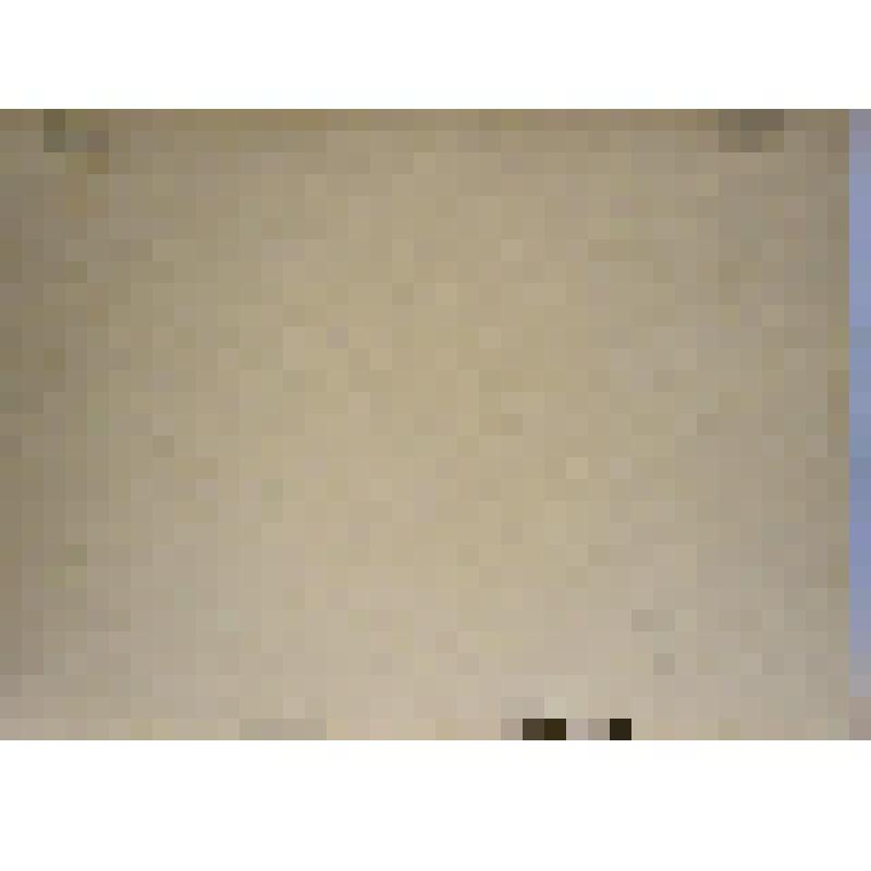 Гравюра. Усадьба в Киргизии