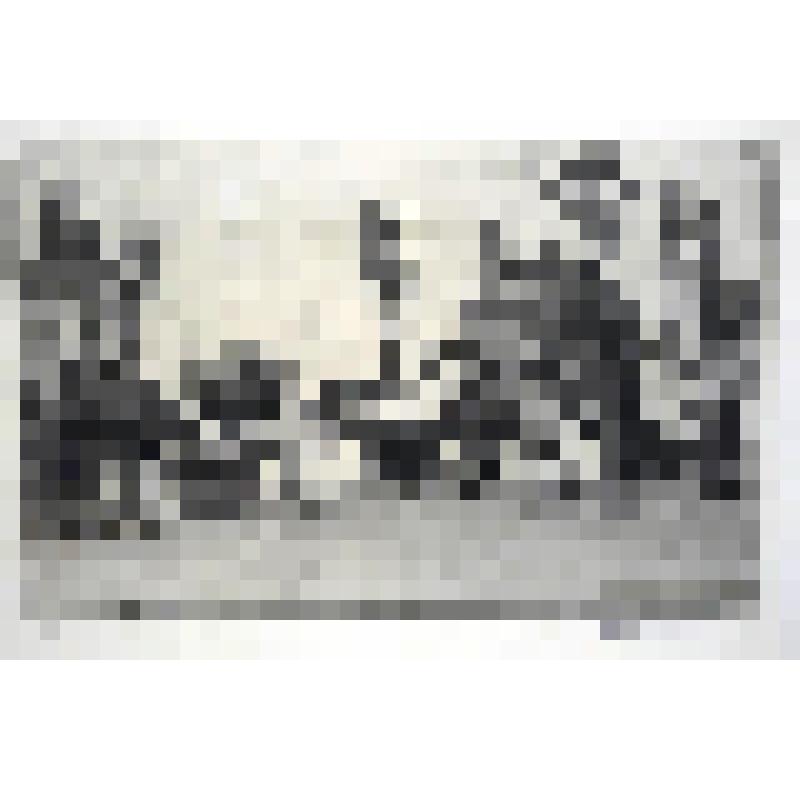 Гравюра. Усадьба в Киргизии