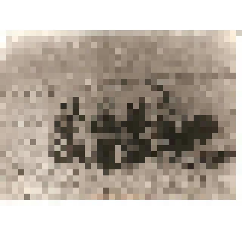 Фотография. Даркат. Блок пост