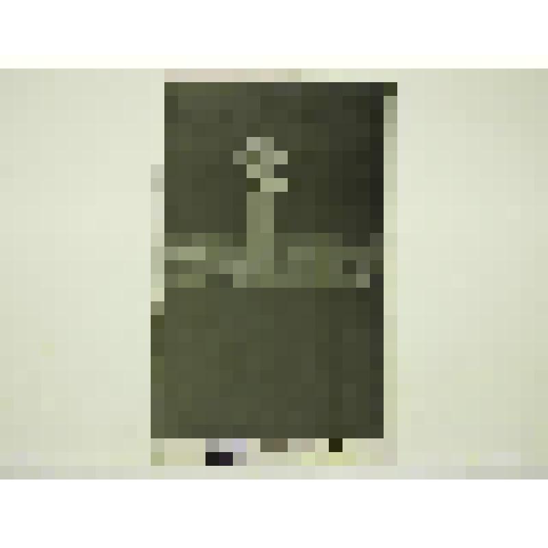 Памятник Гаю. 1976. Армения, г. Ереван. Памятник Гаю. Назарян; Герзадян С, общий вид