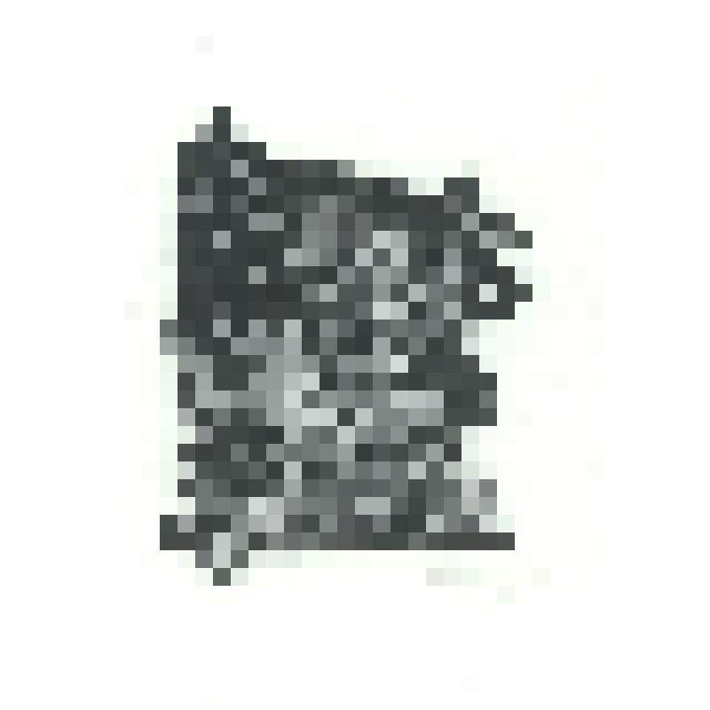 Иллюстрация к книге В.Полторацкого «Зеленая ветка».1961