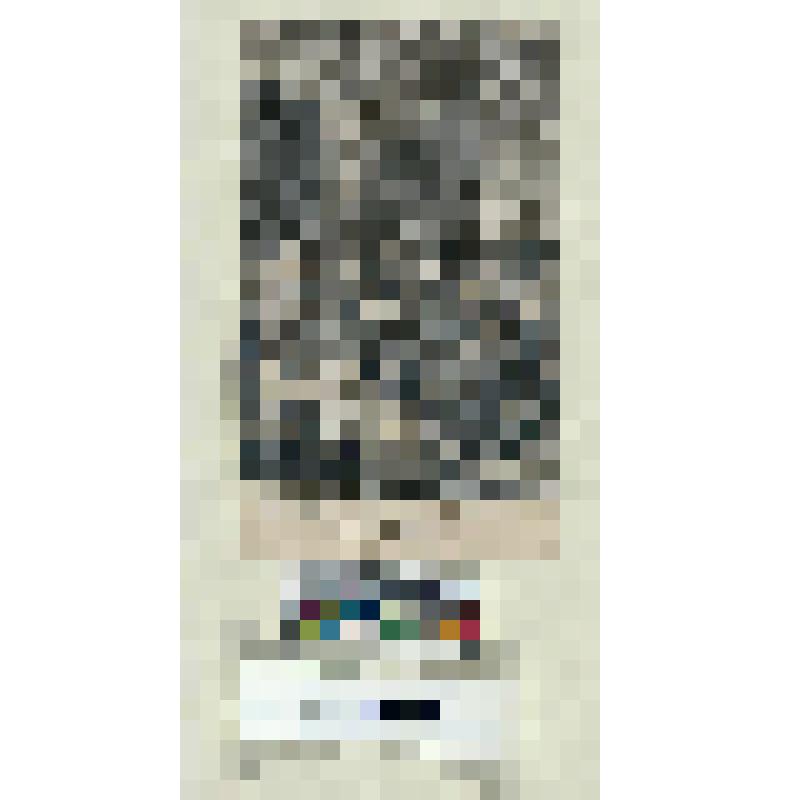 Историческая сцена из эпохи Французской Революции XVIII века. "Erbarmen von oben! Uber diese Unglucklichen"