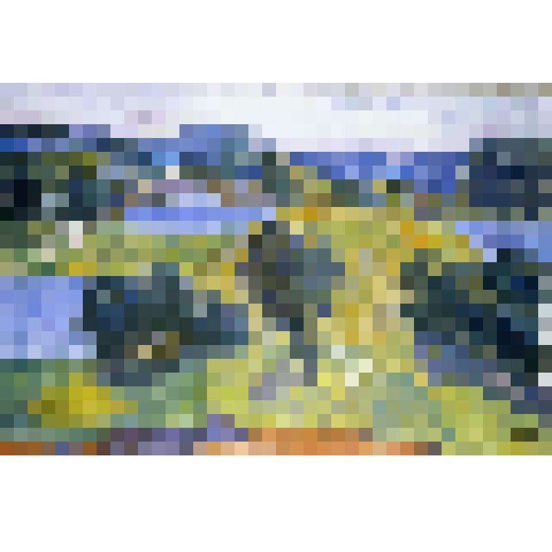 Картина "Летний день"