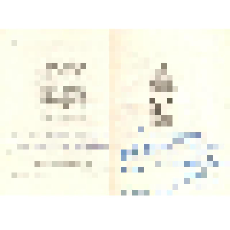 Книга. Б. Кежун "Дыхание земли" - стихи и поэмы