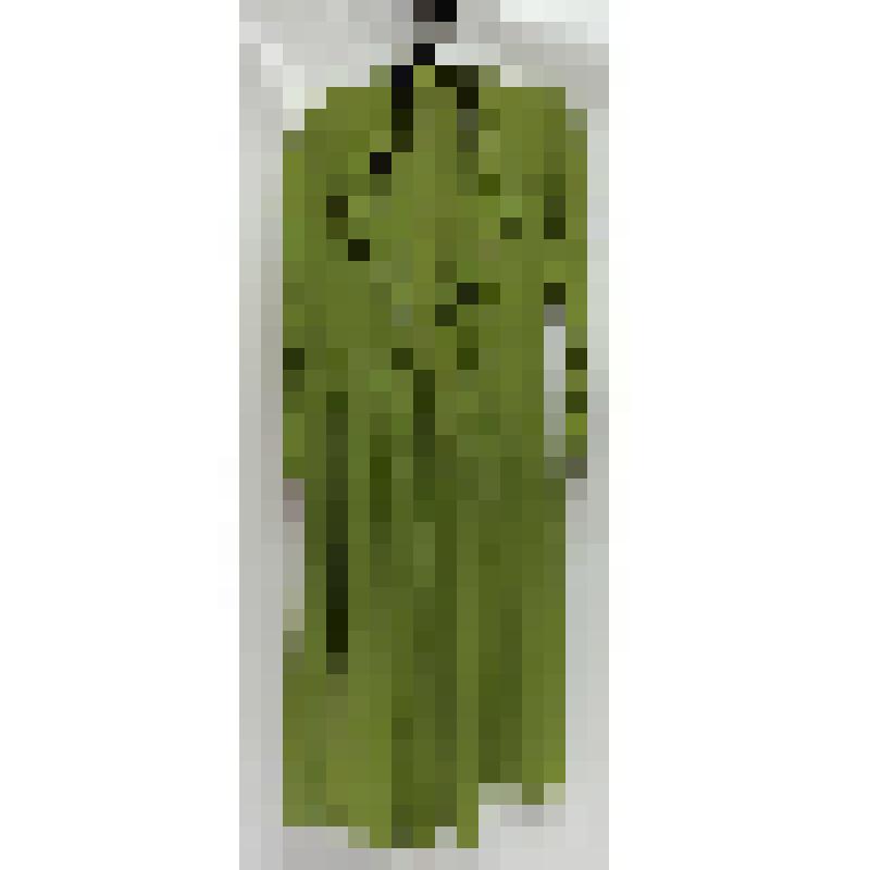 Платье Тегенцевой Натальи Николаевны