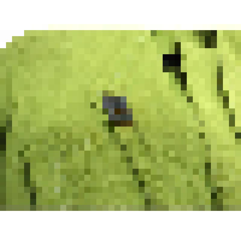 Платье Тегенцевой Натальи Николаевны