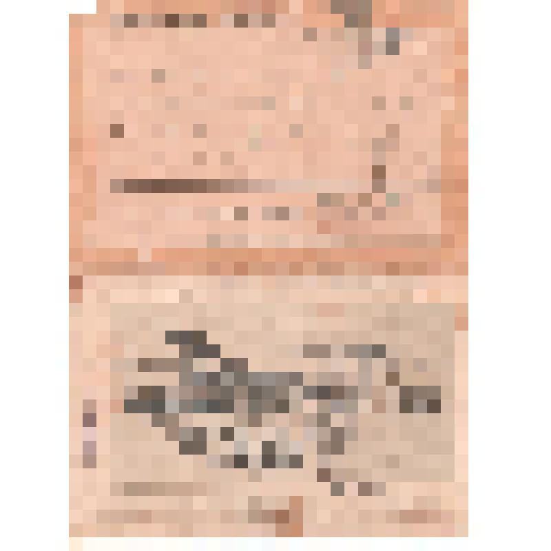 Письмо с фронта на бланке Трофимова Леонида Александровича отцу Трофимову Алексею Филипповичу