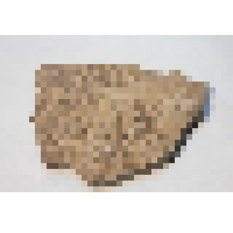 Горная порода. Кремень  пермской системы