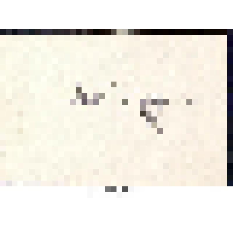 Иллюстрация к рассказу "Белолобый". Рисунок