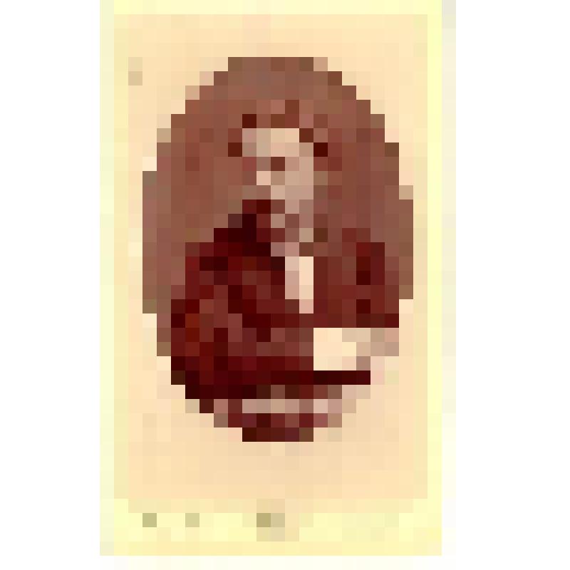 Фотография. Шнейпас Михайл Александрович