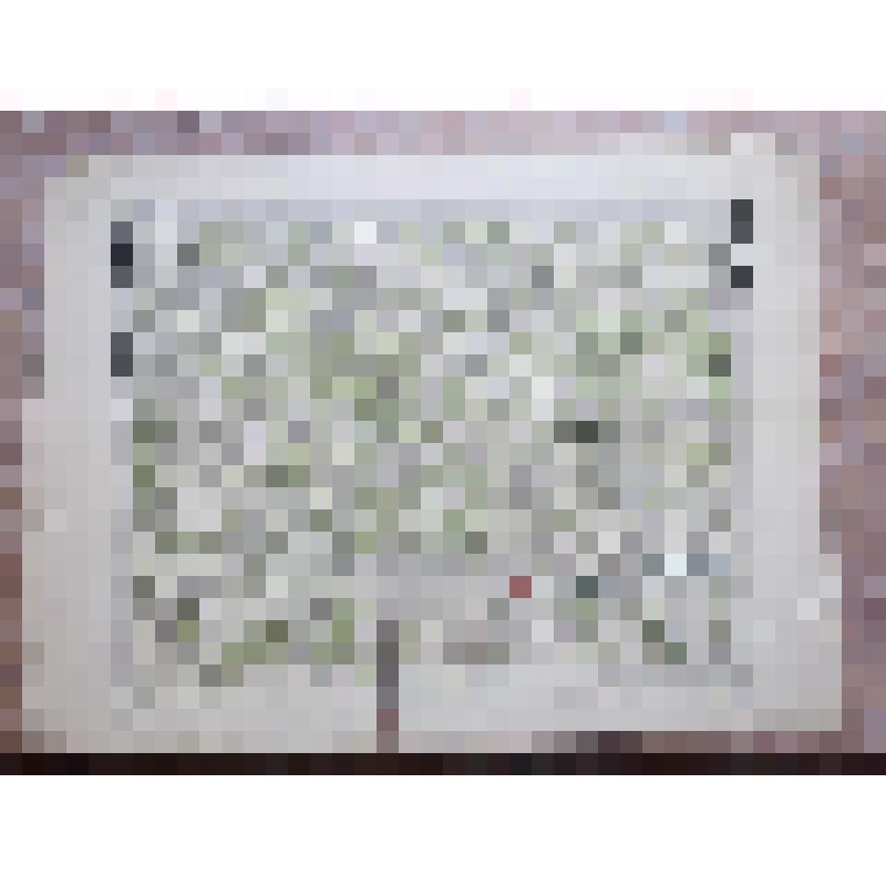 Специальная карта Европейской России (Десятивёрстка). Лист 2