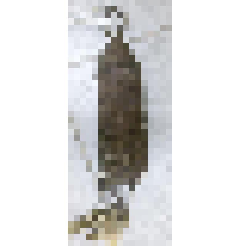 Пружина для подвешивания люльки