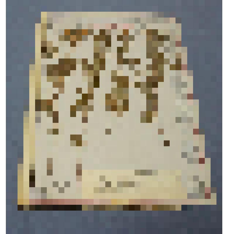 Ботаническая коллекция. Лапчатка кустистая, семейство розоцветные,  на гербарном листе, северный склон горы Самохвал