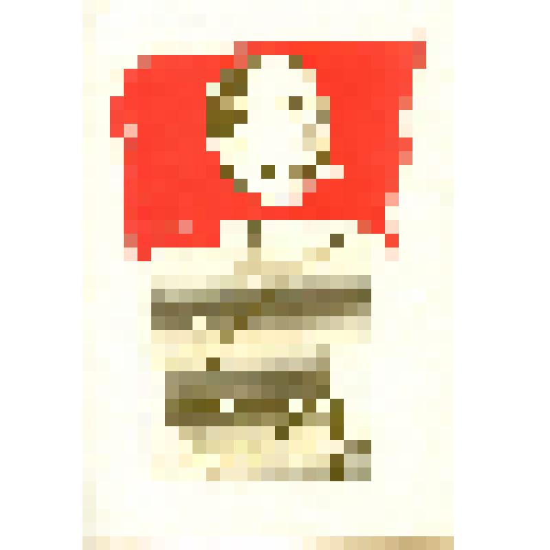 Почётная грамота от Тамбовского обкома КПСС, облисполкома и облсовпрофа Евтееву Александру Ивановичу.  15.06.1968 г. 1 л