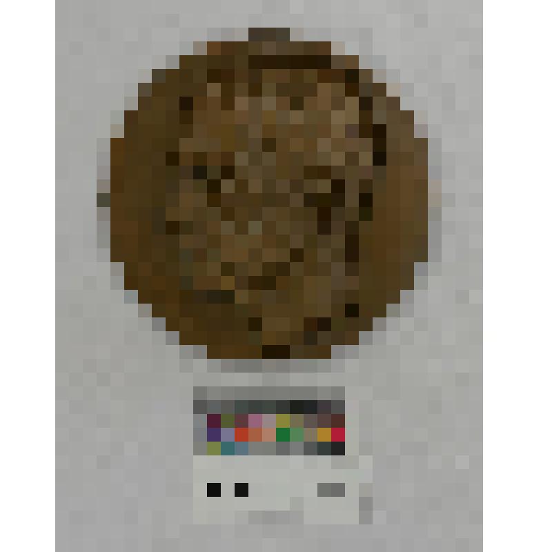 СССР. Медаль. В честь Джавахишвили