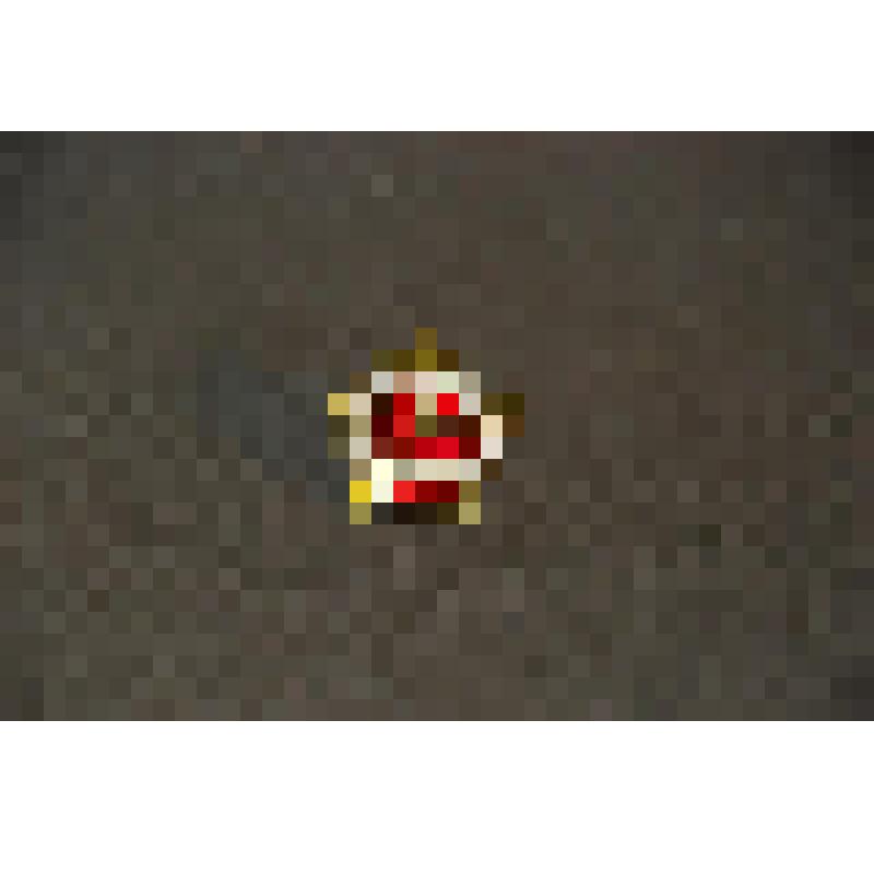 Знак нагрудный: Воин-спортсмен