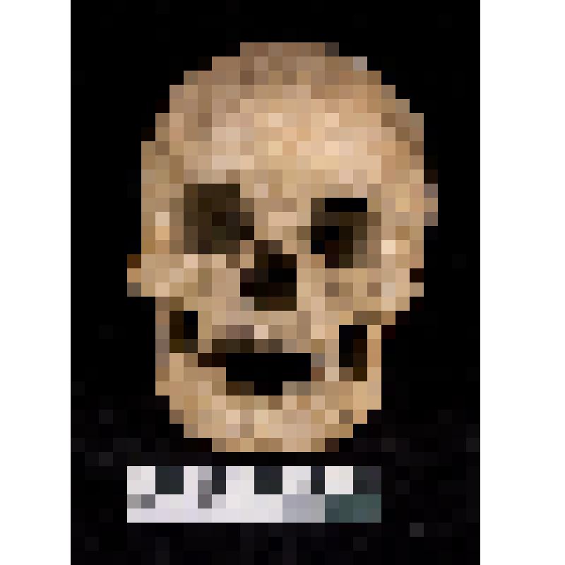 Череп