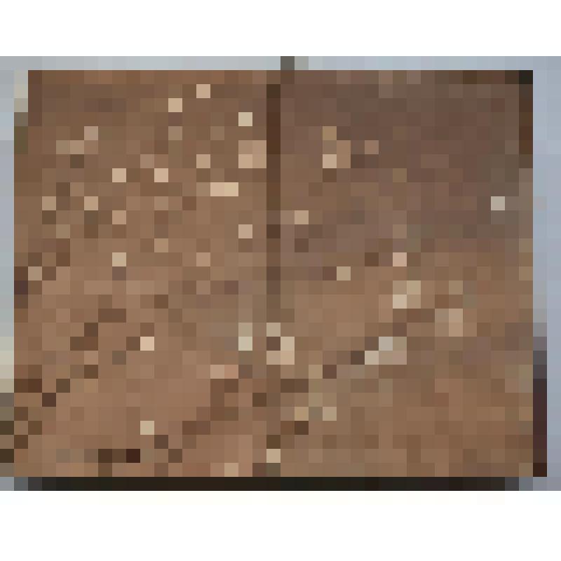 Книга. Важнейшие медоносные растения и способы их разведения. Издание пятое, переработанное. 3-я типография "Красный пролетарий"