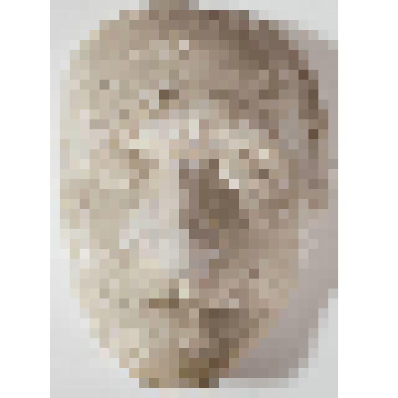 Посмертная маска. Ф. Лист. Посмертная маска