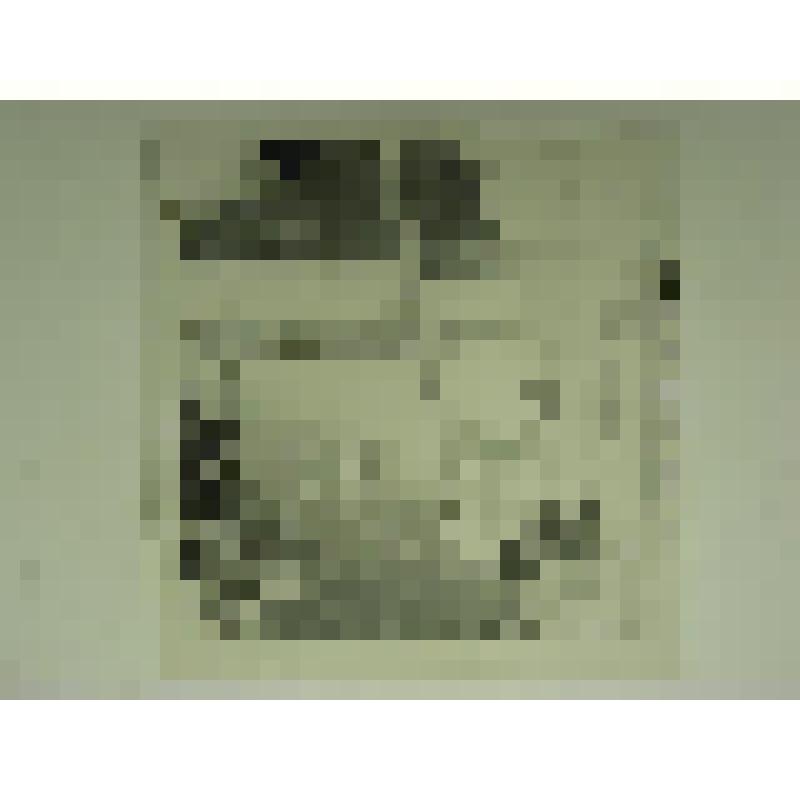 Дом Н.М.Беспалова. Ул. Привокзальная, 29. кон.XIX-нач.ХХ вв. Челябинская  обл., г. Карабаш, пос. Южный (с.Саймоновское). Дом Н.М.Беспалова. Ул. Привокзальная, 29. кон.XIX-нач.ХХ вв. Задний навес дома с крыльцом и крытый двор по переулку