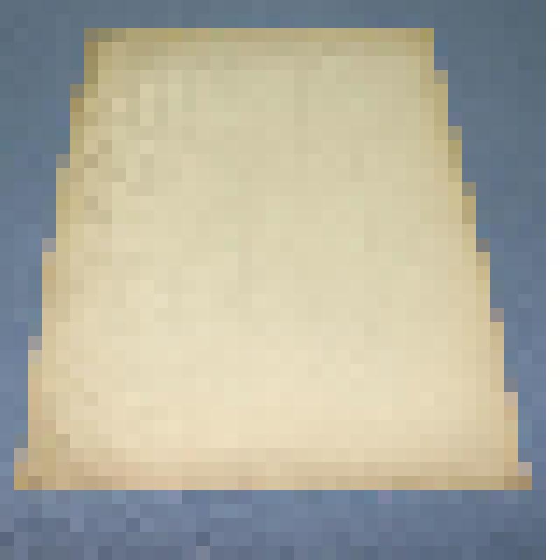 Ботаническая коллекция. Скрученник восточный, на гербарном листе, Усть-Абаканский район, окрестности разъезда Ташеба, засоленные мочаги