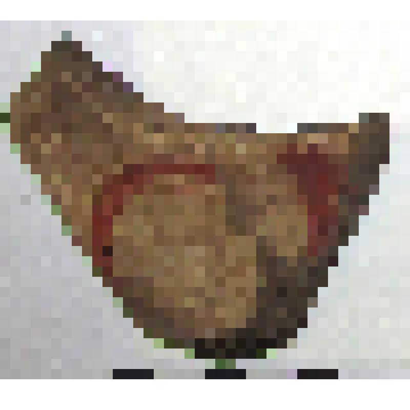 Фрагмент плеча амфоры типа D столовая с дипинто