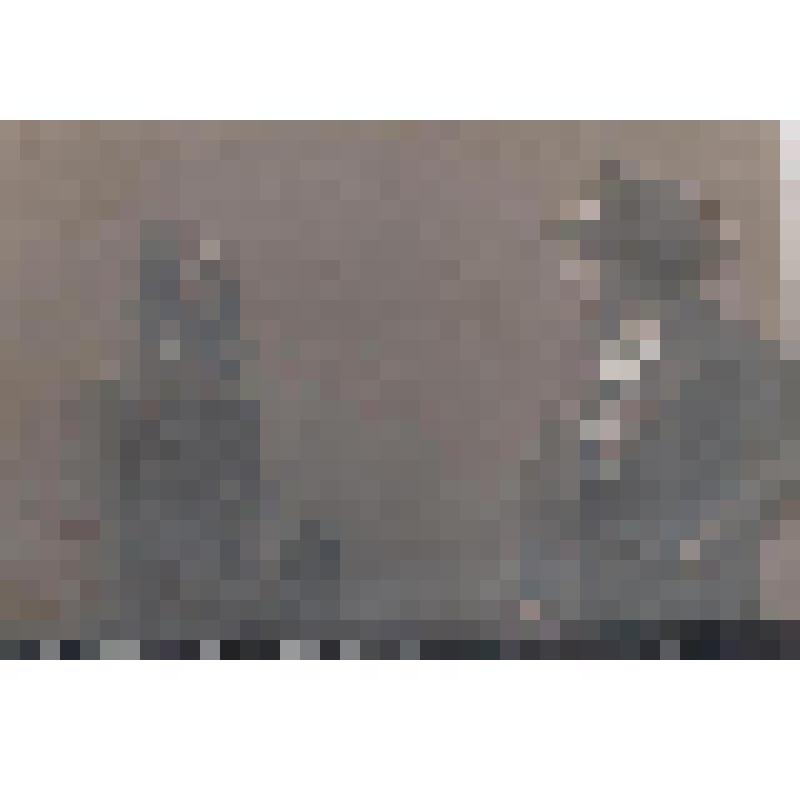 Лебедев В.Ф. и Пашенная В.Н. в пьесе А.Н.Толстого «Насильники». 1913г