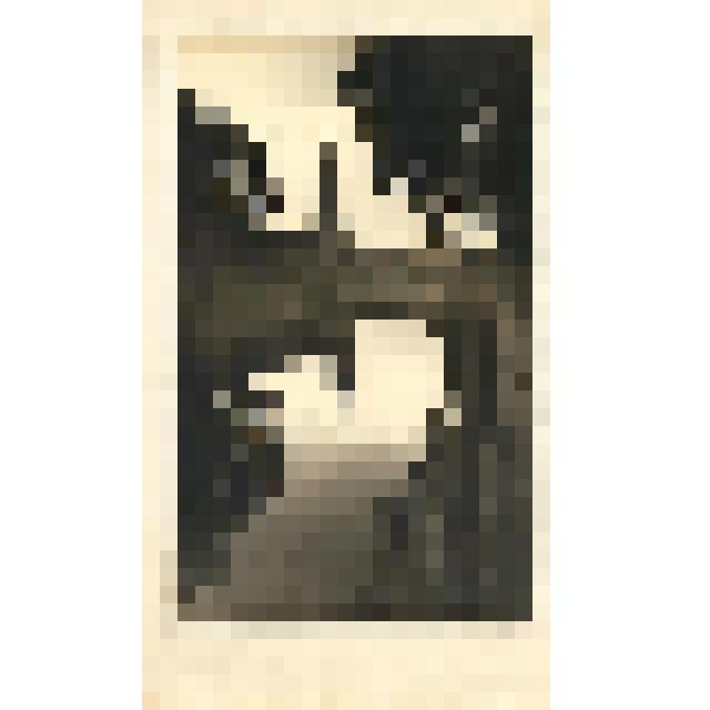 Фотография. Набережная Крюкова канала