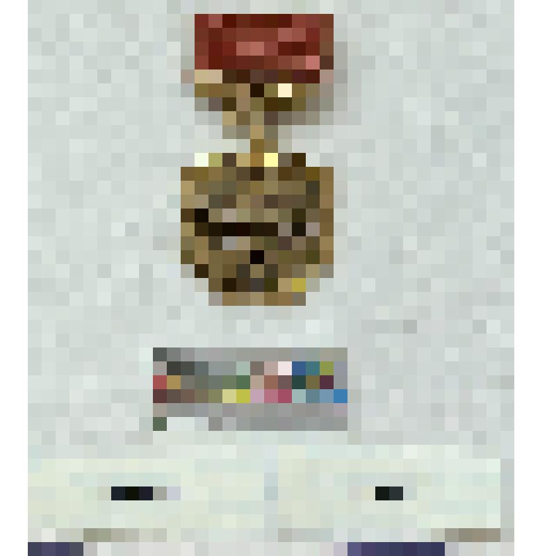 СССР. Нагрудный знак. Народный архитектор СССР