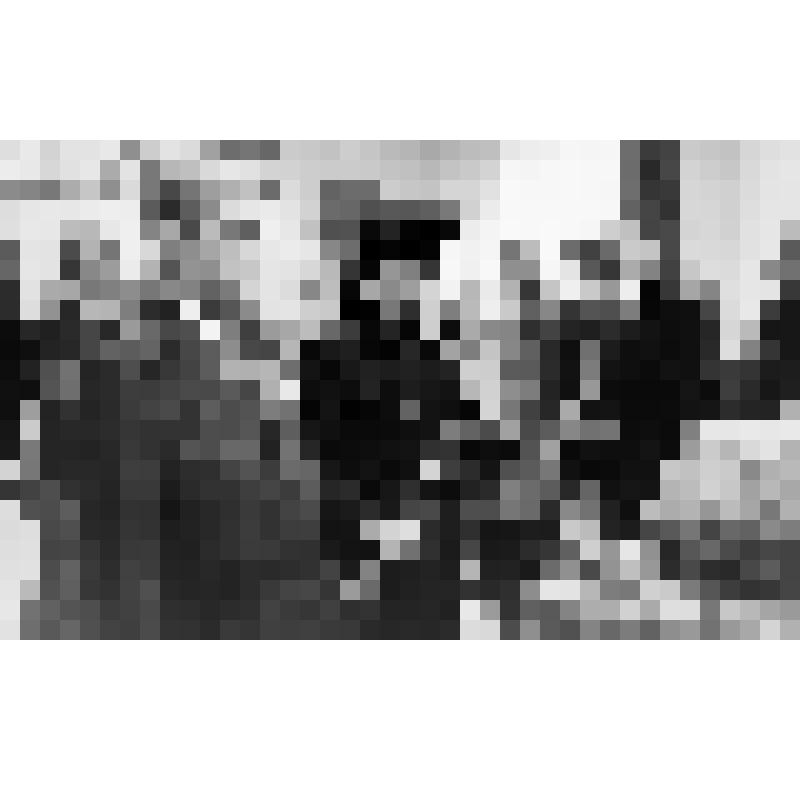 Фото ч/б. Присутствующие прощаются с прахом троих погибших воинов в Доме Культуры пос. Андреевка (молодой моряк у гроба).  18.10.1981 г