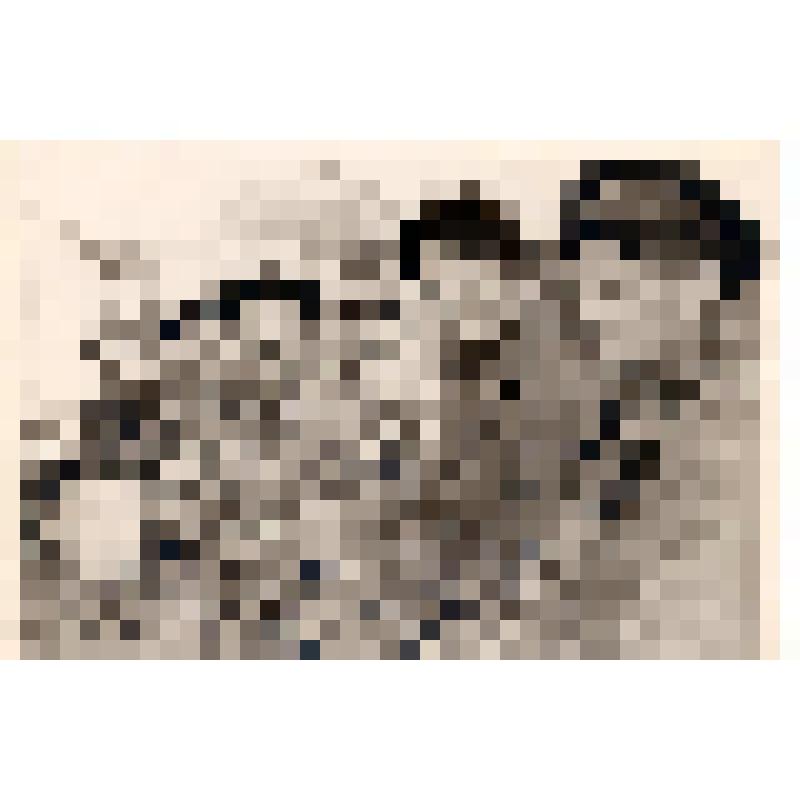 Фотография. Бригада сварщиков Новоладожского судоремонтного завода