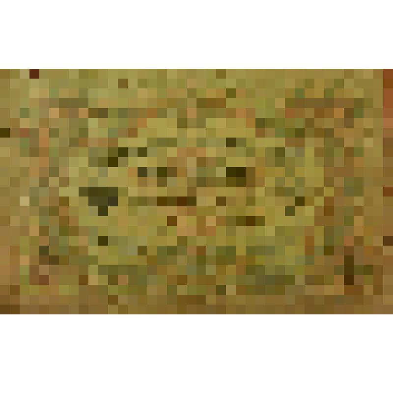 Билет кредитный государственный