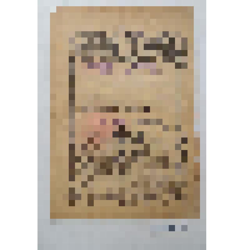 Благодарность Новикову Ивану Филипповичу за освобождение города Белосток