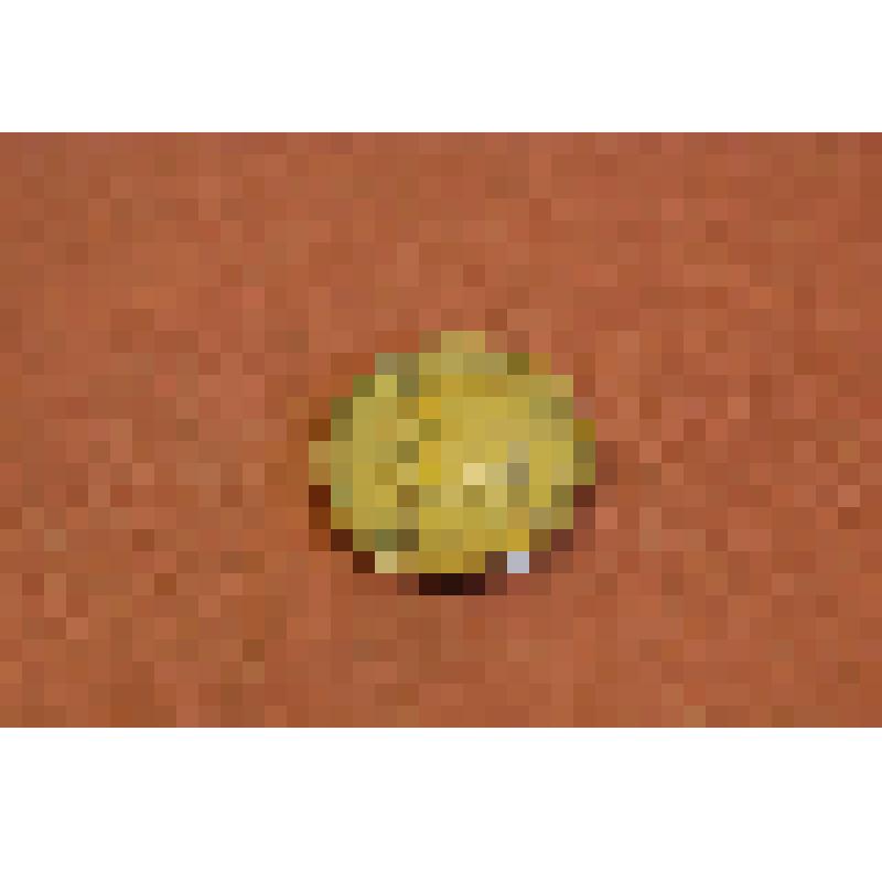 Медаль памятная к 100-летию со дня рождения С. В. Герасимова. 100 лет со дня рождения. 1885-1964