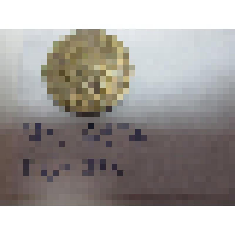 Монета достоинством в  2 (две) копейки. СССР