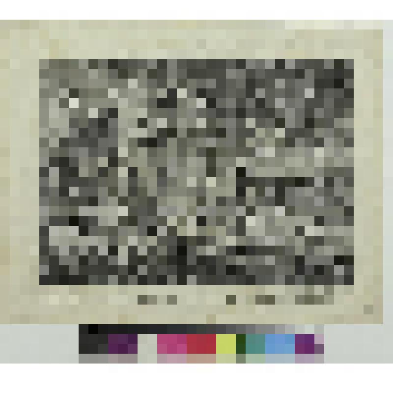 Пейзаж с грозой, гравюра