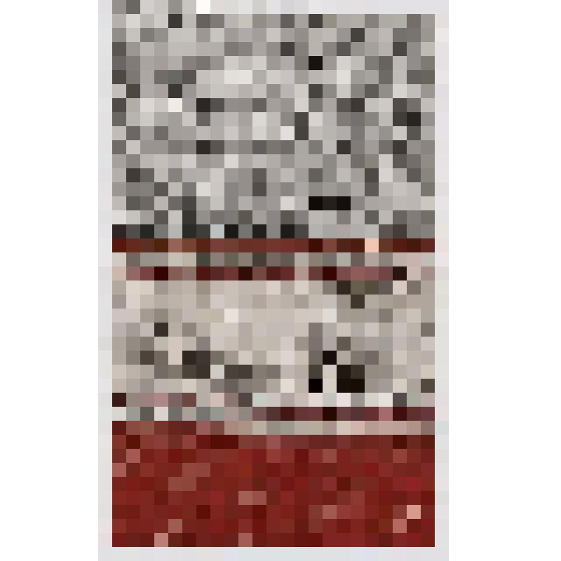 Образец вышивки. Из альбома "Мотивы традиционного орнамента народной вышивки Тульской области, выполненных на машине 22 класса"