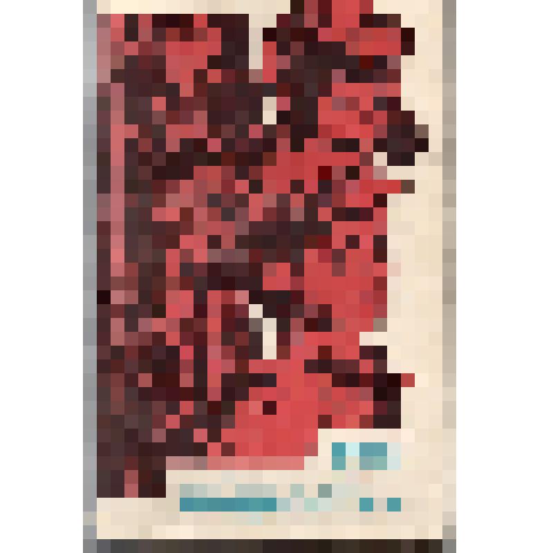 Книга. Н.И.Родичев «Подростки».
СССР, Москва, изд-во ДОСААФ СССР, 1984 г., 176 с