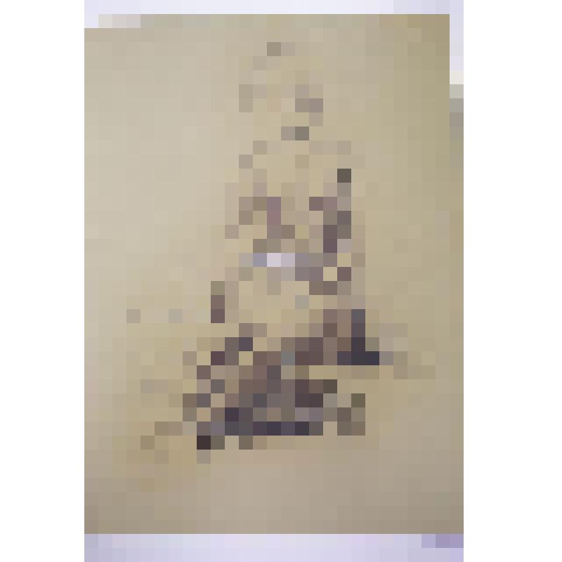 Обнаженная. Рисунок