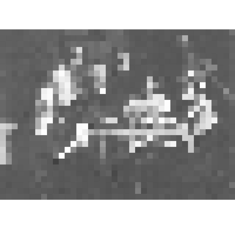 Фото. И.И. Морчадзе в семье Тихомировых. Слева направо,стоят: Надежда, Надежда Дмитриевна Тихомирова (мать), Наталья (жена Б.И. Поплавского). Сидят: Вера, Елена (жена И.И. Морчадзе), И.И. Морчадзе, Б.И. Поплавский