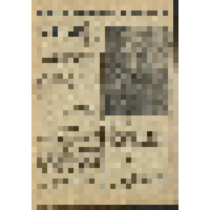 Газета. "Звезда" № 99