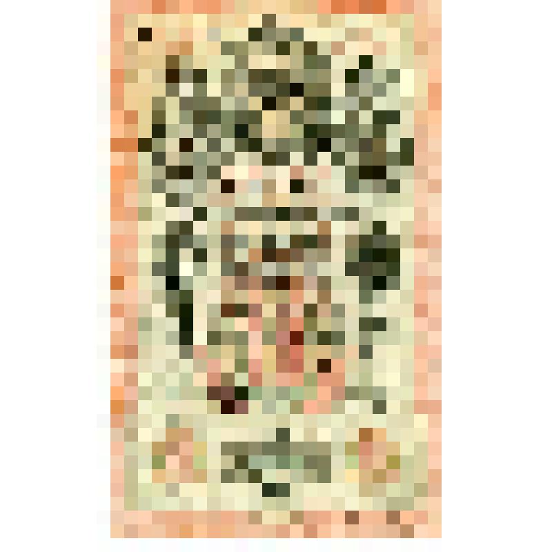 Государственный кредитный билет.10 рублей. ФУ 609915